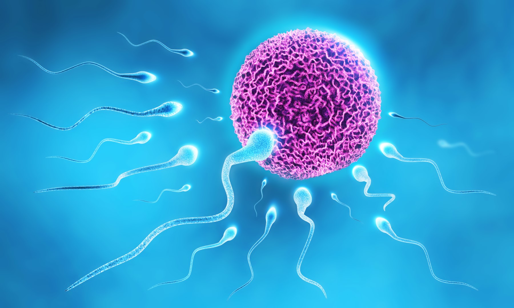 ovulation induction cost in Mumbai